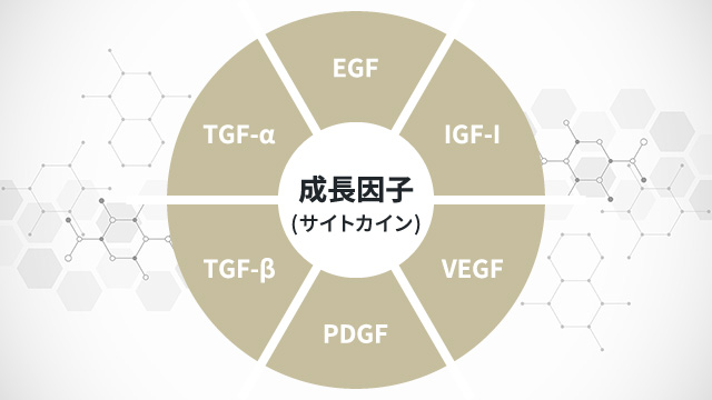 幹細胞培養上清液に含まれる成長因子