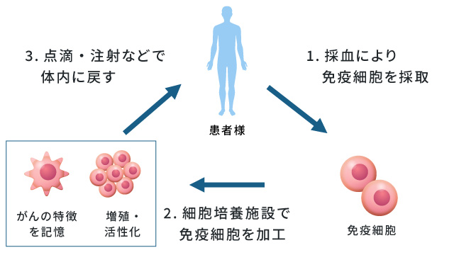 ほぼすべてのがんに行えるがん治療